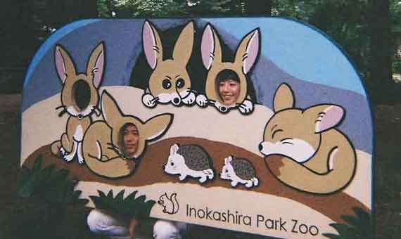 Then you try making it 