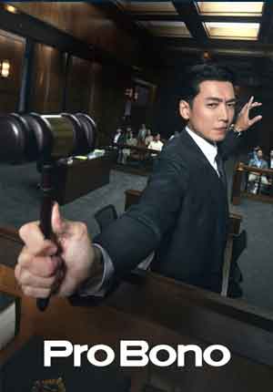 Pro Bono